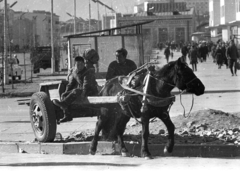 Mongolia, Ulánbátor, 1969, Gábor Viktor, Fortepan #214014