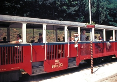 Magyarország, Budapest II., Gyermekvasút (Úttörővasút) Szépjuhászné (Ságvári liget) állomás., 1979, Fortepan, vasút, színes, kisvasút, Gyermekvasút, Budapest, nagykilátó kocsi, Fortepan #21413