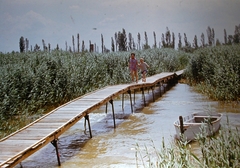 1975, Fortepan, kid, colorful, boat, Fortepan #21414