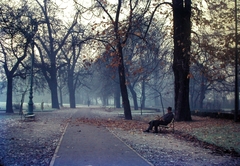 Magyarország, Margitsziget, Budapest, 1977, Fortepan, utcabútor, színes, park, ősz, férfi, pad, szemetes, Szentendre típusú pad, Fortepan #21421