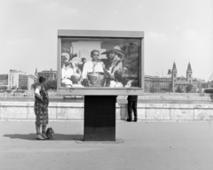 Magyarország, Budapest I.,Budapest V., Várkert (Groza Péter) rakpart, háttérben jobbra az Erzsébet híd és a Belvárosi templom. A Fővárosi Moziüzemi Vállalat (FŐMO) által forgalmazott filmet hirdető vitrin., 1970, FŐFOTÓ, Budapest, Fortepan #214224