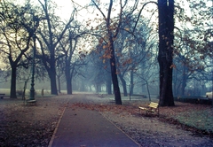 Magyarország, Margitsziget, Budapest, 1977, Fortepan, utcabútor, színes, ősz, pad, szemetes, Szentendre típusú pad, Fortepan #21426