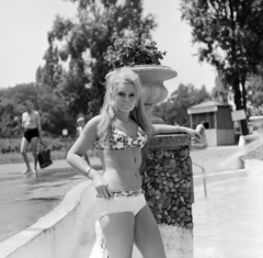 Magyarország, Margitsziget, Budapest, Palatinus Strandfürdő., 1970, FŐFOTÓ, bikini, Fortepan #214389