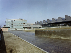 Magyarország, Budapest XI., Nándorfejérvári út, a Fővárosi Patyolat Vállalat mosó, vasaló és tisztító üzeme., 1970, FŐFOTÓ, Budapest, Fortepan #214487