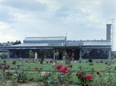 Magyarország, Marcali, Park utca 2., Berzsenyi Dániel Járási Könyvtár. Előtte Ács István szobrászművész alkotása, Berzsenyi Dániel mellszobra (1969)., 1970, FŐFOTÓ, könyvtár, Fortepan #214534