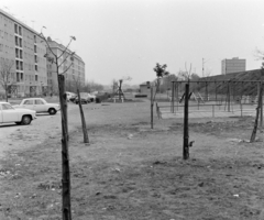 Magyarország, Budapest XI., a Hamzsabégi út Bölcső utca - Szerémi sor (Vántus Károly utca) közötti házsora., 1971, FŐFOTÓ, Budapest, Fortepan #214914