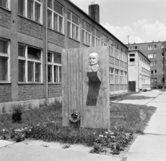 Magyarország, Cegléd, Széchenyi út 14/D., a Várkonyi István Általános Iskola főbejáratánál Várkonyi István mellszobra (Rózsa Péter, 1970.)., 1971, FŐFOTÓ, Fortepan #214971