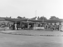 Magyarország, Kecskemét, Noszlopy Gáspár (Felszabadulás) park, MÁVAUT autóbusz-állomás., 1971, FŐFOTÓ, Fortepan #215004