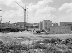 Magyarország, Óbuda, Budapest III., a Pacsirtamező (Korvin Ottó) utcától a Szőlő utca felé nézve. Balra a Szőlő köz 1-11. számú épülő panelház., 1971, FŐFOTÓ, lakótelep, toronydaru, Budapest, Fortepan #215014