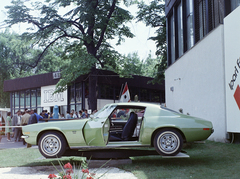 1971, FŐFOTÓ, colorful, Chevrolet-brand, Fortepan #215071