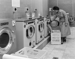 1971, FŐFOTÓ, washing machine, Fortepan #215187