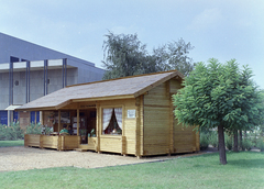 1971, FŐFOTÓ, colorful, wooden cottage, Fortepan #215419