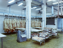 1971, FŐFOTÓ, colorful, pig, slaughterhouse, meat industry, Fortepan #215434