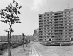 Magyarország, Budapest XI., balra a Bártfai utcai, ettől jobbra a Fraknó utcai panelházak láthatók., 1972, FŐFOTÓ, Budapest, Fortepan #215495