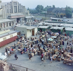 Magyarország, Budapest XX., Tátra téri Piac és Vásárcsarnok., 1972, FŐFOTÓ, Budapest, Fortepan #215633