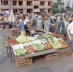 Magyarország, Budapest XX., Tátra téri Piac és Vásárcsarnok., 1972, FŐFOTÓ, Budapest, Fortepan #215634