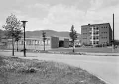 Magyarország, Óbuda, Budapest III., Váradi utca, szemben a Vörösvári út 88-96., Szakorvosi Rendelőintézet, előtte a gyógyszertár., 1973, FŐFOTÓ, gyógyszertár, Budapest, lakótelep, Fortepan #216113