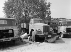 1974, FŐFOTÓ, GAZ-márka, Zuk-márka, járműroncs, rendszám, Fősped, GAZ 63, autómentő, Fortepan #216199