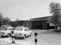 Magyarország, Székesfehérvár, autószervíz a Balatoni út melletti ÁFOR kút mögött., 1970, FŐFOTÓ, gépjárműszerviz, rendszám, Fiat 127, Trabant 601, Fortepan #216201