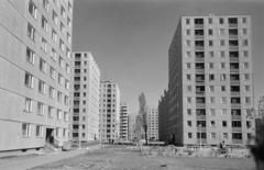 Magyarország, Újpalota, Budapest XV., a Páskom park épületei., 1974, FŐFOTÓ, Budapest, Fortepan #216284