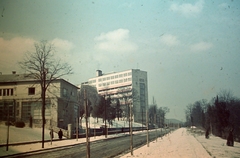 Magyarország, Budapest XII., Kútvölgyi út, Országos Tisztviselői Betegsegélyző Alap kórháza (később Semmelweis Egyetem Kútvölgyi Klinikai Tömb)., 1943, Fortepan, tél, színes, gyógyintézmény, Budapest, Fortepan #21639