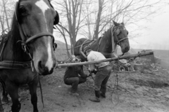 1971, Gothár Péter, Fortepan #216505