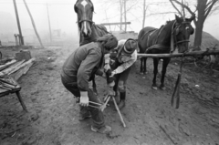 1971, Gothár Péter, Fortepan #216510