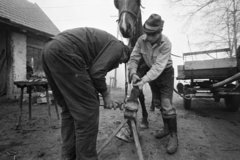 1971, Gothár Péter, kovácsműhely, patkó, Fortepan #216512