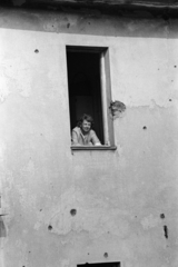 1967, Gothár Péter, leaning out of the window, war damage, Fortepan #216706