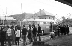 1972, Gothár Péter, Simson Schwalbe, fiatalság, autóbusz, tetőcsomagtartó, motorkerékpár, várakozás, Fortepan #216768