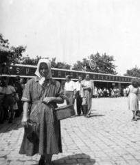 Hungary, Baja, Szentháromság (Béke) tér., 1953, Barabás Sarolta, basket, headscarf, store, dotted dress, retailing, woman, row of shops, Fortepan #216953