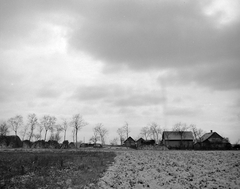 1958, Kotnyek Antal, winter, farm, Fortepan #21704