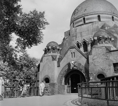 Magyarország, Városliget,Állatkert, Budapest XIV., Elefántház., 1956, Kotnyek Antal, korlát, életkép, Budapest, Fortepan #21760