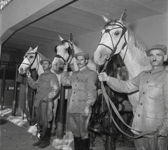 Magyarország, Budapest X., Mezőgazdasági Kiállítás az Albertirsai úti vásár területén., 1954, Kotnyek Antal, Ráth Károly, ló, kiállítás, lovász, lószerszám, Budapest, Fortepan #21767