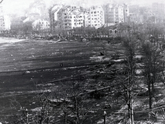 Hungary, Budapest I., Vérmező, tőle jobbra a Krisztina körút, a háttérben középen a Feszty Árpád utcai saroképület., 1945, Vörös Hadsereg, wreck, damaged building, sailplane, DFS-brand, Budapest, DFS 230, Fortepan #217672