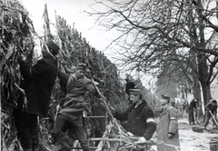 Hungary, Budapest I., Várkert rakpart (Zita királyné út). Munkaszolgálatosok, álcázáshoz kukoricaszárat rögzítenek a dróthálóra a Duna-parton., 1944, Mihályi Balázs, wharf, corn, armband, camouflage, Best of, Budapest, Fortepan #217812