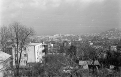 Hungary, Budapest XII., kilátás a Csorna utca 6. számú ház teraszáról a budai Vár és a Gellért-hegy felé., 1979, Kovács Annamária, Budapest, Fortepan #218046