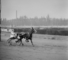 Magyarország, Budapest VIII., Kerepesi úti Ügetőpálya., 1973, Kotnyek Antal, sport, lóverseny, Budapest, Fortepan #21834