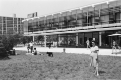 Magyarország,Balaton, Tihany, Kis Tihany Szálló (Motel), háttérben a Hotel Tihany., 1966, Burszán Sándor, Fortepan #218419