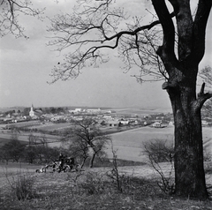 Magyarország, Nagyoroszi, a település látképe a Kertész utca és a Nagyoroszi-patak környéki domboldalról, távolban a Szent Miklós-templom látszik., 1953, Kotnyek Antal, Ráth Károly, templom, magyar gyártmány, traktor, H.S.C.S.-márka, képarány: négyzetes, Fortepan #21851