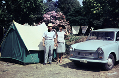 1967, Darányi Sándor, Trabant 601, rendszám, Fortepan #218538