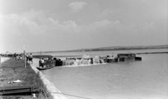 Magyarország,Balaton, Tihany, a Yacht Club - Rév, kompkikötő közötti partszakasz., 1963, Hunyady József, Fortepan #218875