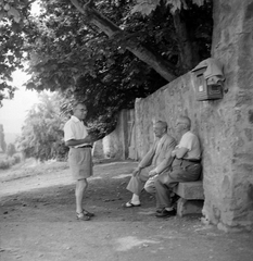 Magyarország,Balaton, Szigliget, Esterházy-kastély, az Írók Alkotóházának terméskő fala a Főtér északi oldalán., 1955, Kotnyek Antal, Hires Tibor, postaláda, Fortepan #21893