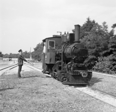 Magyarország, Nagycenk, Széchenyi Múzeumvasút, a felvétel a Kastély állomásnál készült., 1967, Hunyady József, gőzmozdony, MÁV 394 sorozat, Fortepan #218977