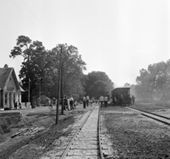 Magyarország, Nagycenk, Széchenyi Múzeumvasút, Kastély állomás., 1967, Hunyady József, kisvasút, kastély, siklóvasút, Fortepan #219006