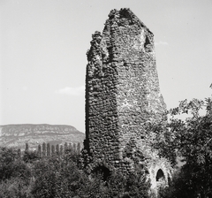 Magyarország,Balaton, Szigliget, Avas, román kori templom maradványa., 1955, Kotnyek Antal, Hires Tibor, rom, jegenyefasor, Fortepan #21904