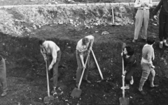 Magyarország, Budapest XI., parképítés a Petőfi híd budai hídfőjétől délre (később itt az ELTE és a BME épületei állnak)., 1964, Krantz Károly, társadalmi munka, lapát, Lágymányos, Budapest, Fortepan #219203