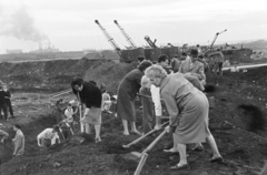 Magyarország, Budapest XI., parképítés a Petőfi híd budai hídfőjétől délre (később itt az ELTE és a BME épületei állnak). Háttérben balra Kelenföld gyárai., 1964, Krantz Károly, daru, társadalmi munka, lapát, Lágymányos, Budapest, Fortepan #219204