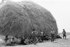 1964, Krantz Károly, hay, lunch hour, agriculture, worker, Fortepan #219222