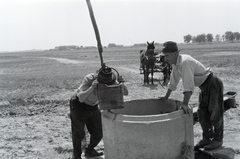 1959, Krantz Károly, gémeskút, ivás, Fortepan #219345